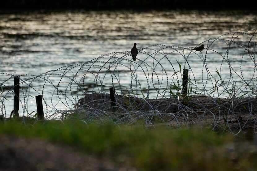 FILE - Birds rest on concertina wire, or razor wire, along the Rio Grande in Eagle Pass,...