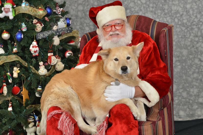 B.K. visited Santa at a previous GreytStore Holiday Boutique. (John Hudson)
