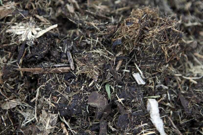 A detail of compost on its way to becoming black and crumbly at Plano Environmental...