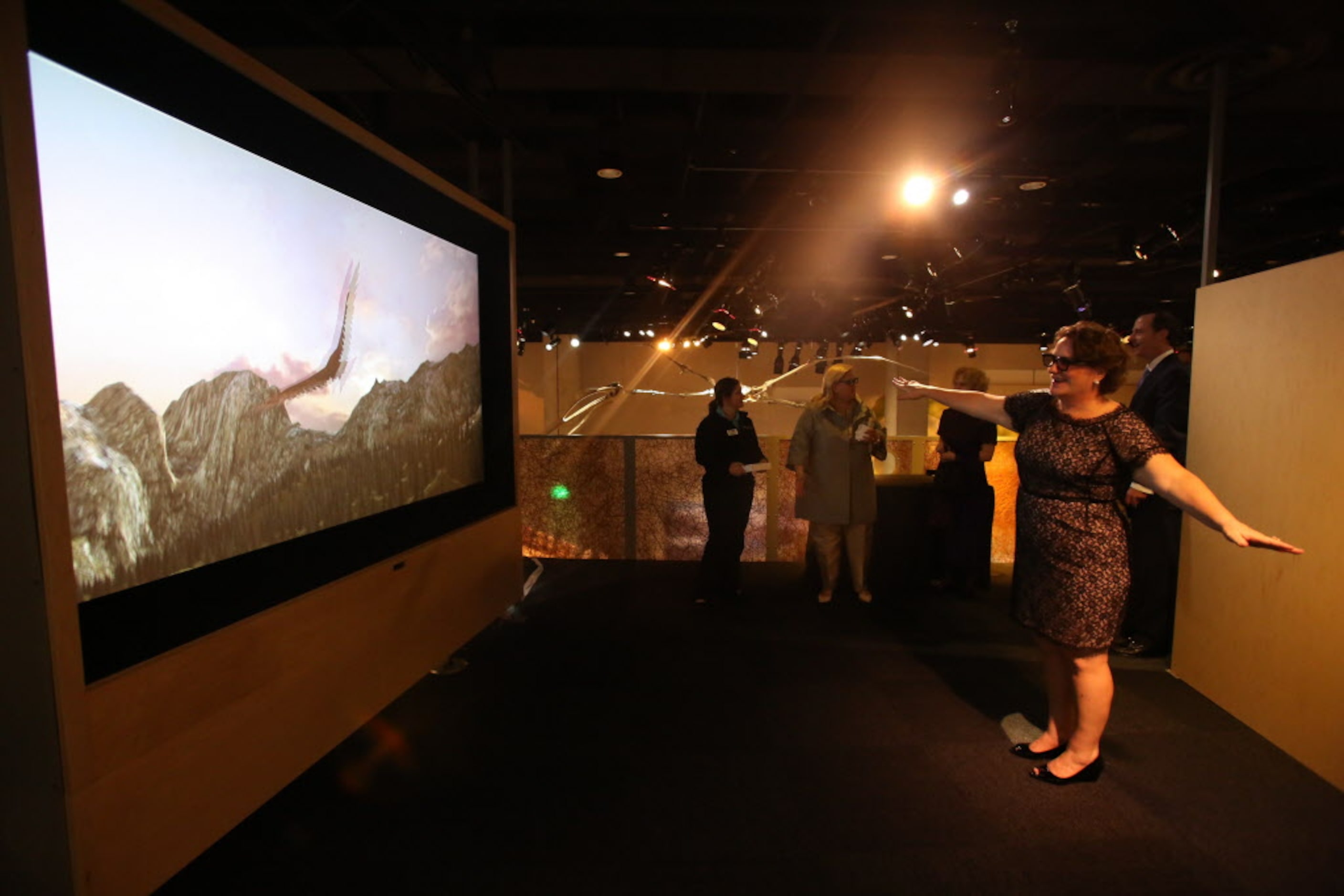 Johanna Sharp dons a pair of 3D glasses for the "Fly Like a Bird" flight simulator during...