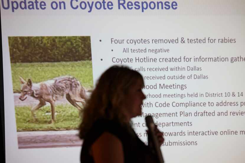 Whitney Bollinger, Assistant Director at Dallas Animal Services, speaks to Dallas residents...