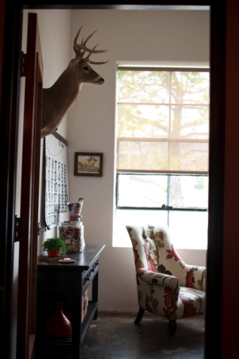 A trophy deer mount hangs in Liz Burnett's office; a faux stag hangs in Jeff Breazeale's.