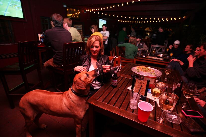 Stacy Schurter of Dallas feeds Rebel, the bar dog, a bite of her pizza while watching the...