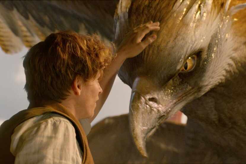 EDDIE REDMAYNE as Newt Scamander and a beast called a Thunderbird in Warner Bros. Pictures’...