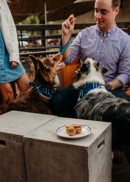 Man seated on patio feeds treats to two dogs