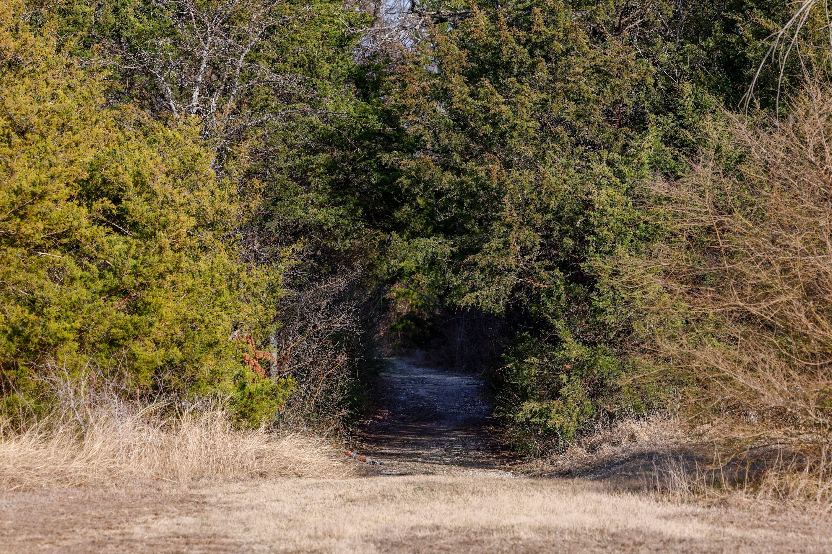 A trail entrance into a wooded section of the Ladd property pictured in Duncanville, Texas,...