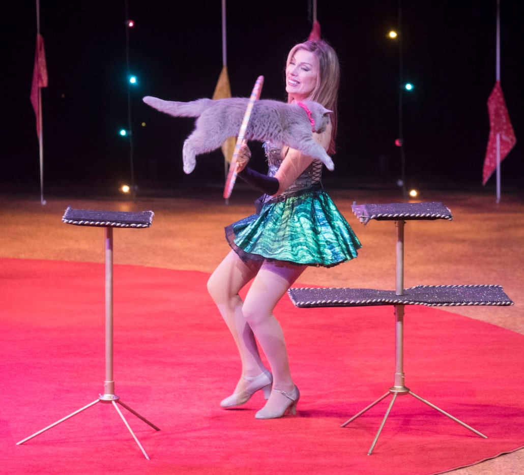 Maya Panfilova, left, performs with one of her house cats during Lone Star Circus's Zingari...