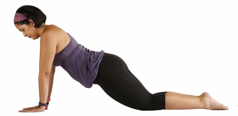 For a modified plank, keep your knees bent. Notice trainer Sylvia Bernal isn't directly on...