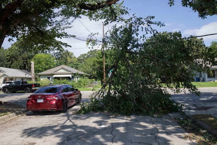 A tree limb rests on a power line and partially blocks the road Wednesday in the Wheatley...