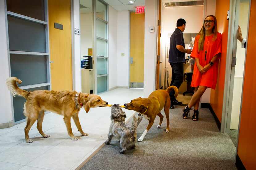 Media coordinator Sharon Lowe laughed as her dog Lola (right) played with her coworkers'...
