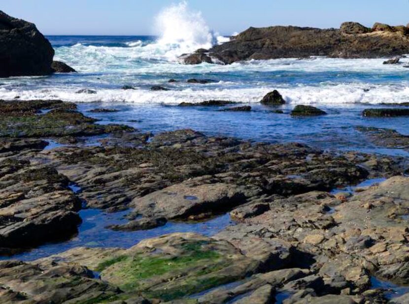 
Point Lobos is hard for photographers to resist.
