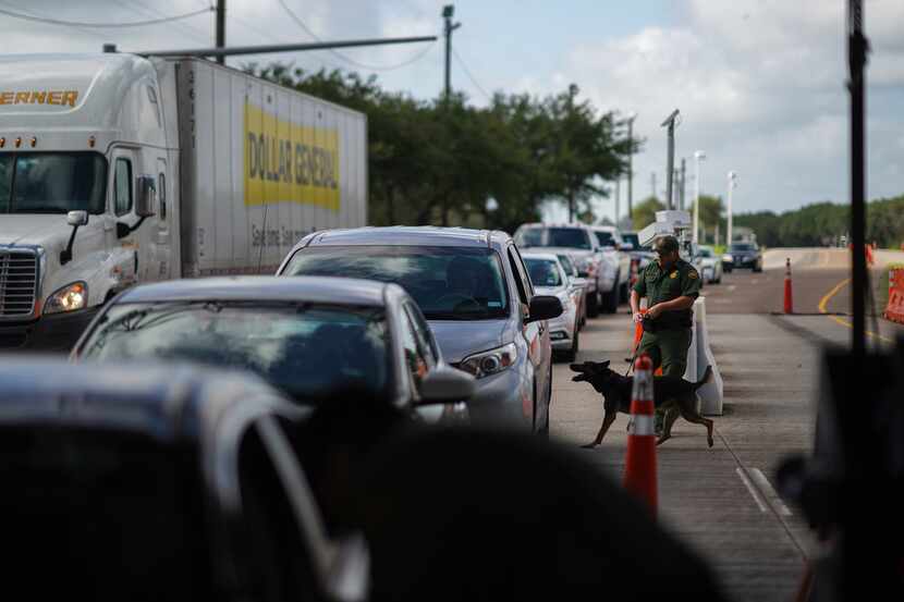 A U.S. Border Patrol Agent with a K-9 checks incoming cars at the checkpoint in Falfurrias,...