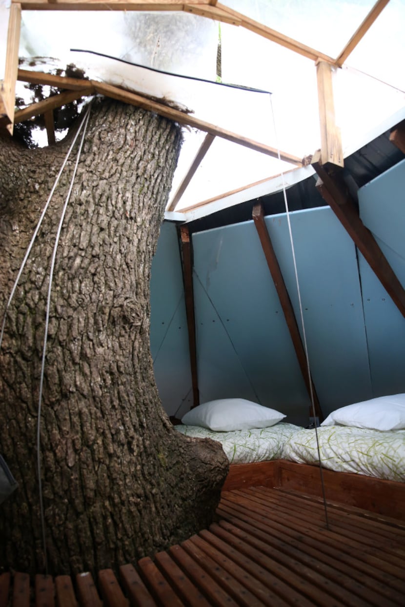 The crow's nest in the Majestic Oak Treehouse at Savannah's Meadow