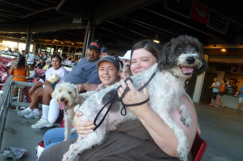 
Friendly dogs are welcome at the Grand Prairie AirHogs’ doubleheader Saturday.

