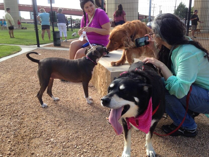  The Bush Central Barkway, located under the Bush Central Parkway near the 75, includes...