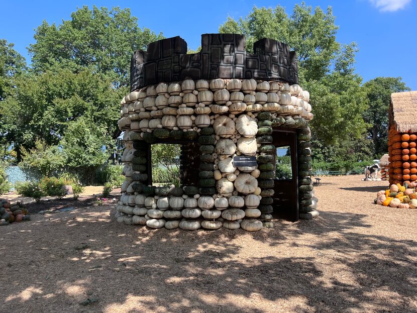 Otoño en el Dallas arboretum con 100,000 calabazas para contar cuentos de hadas este 2022