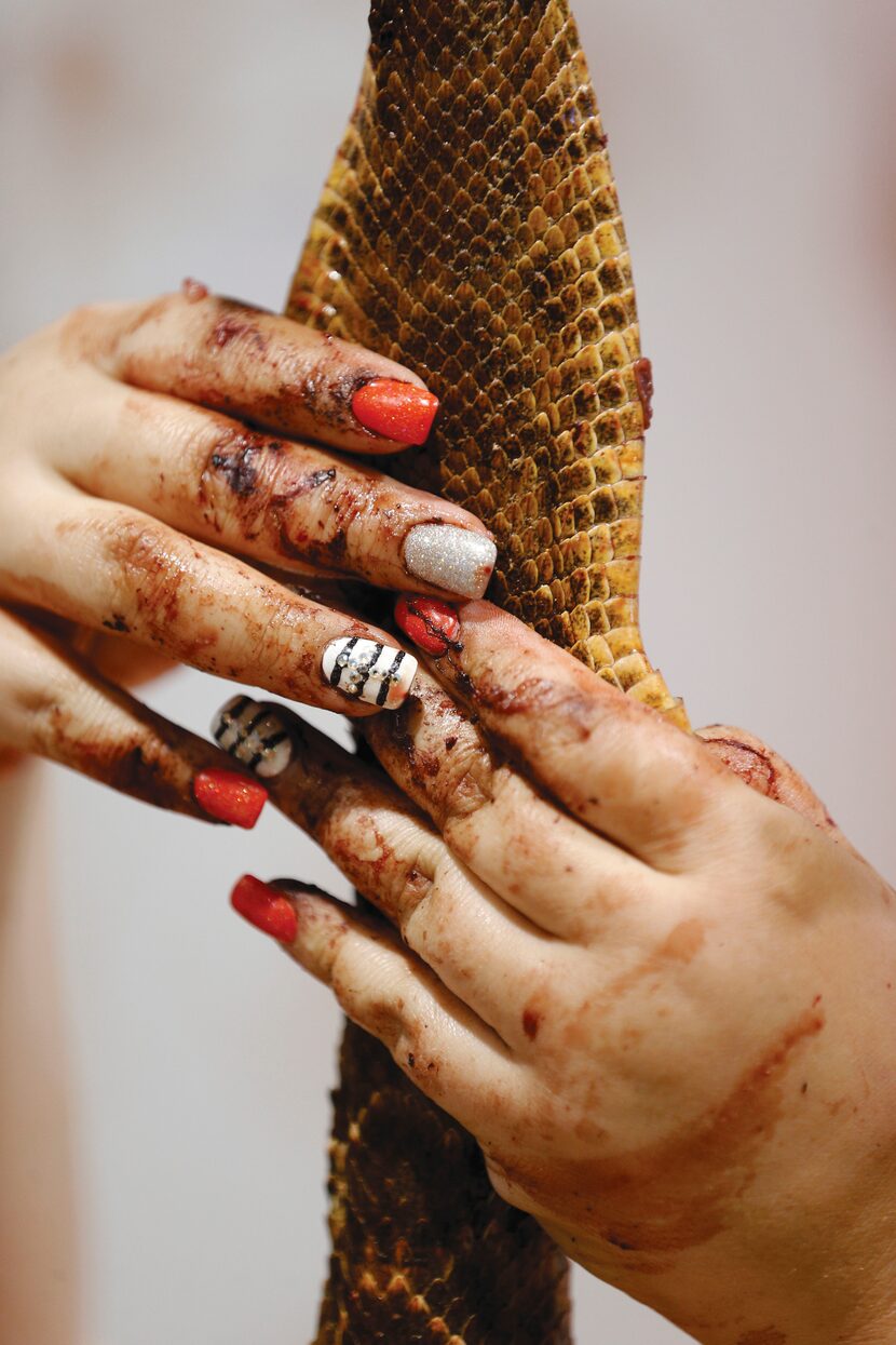 Junior Jaycee Ashley Torres pulled the skin off a rattlesnake in the skinning pit at Nolan...