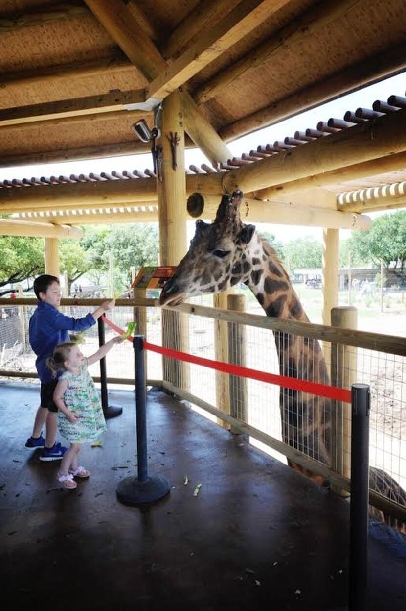 Abilene Zoo