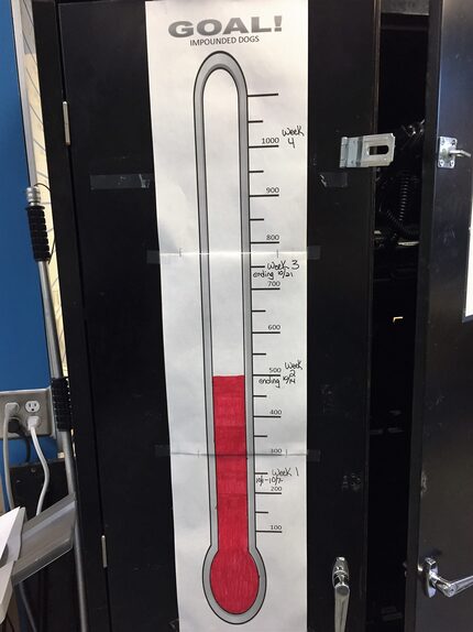 A tally board for loose-dog pickups in southern Dallas.