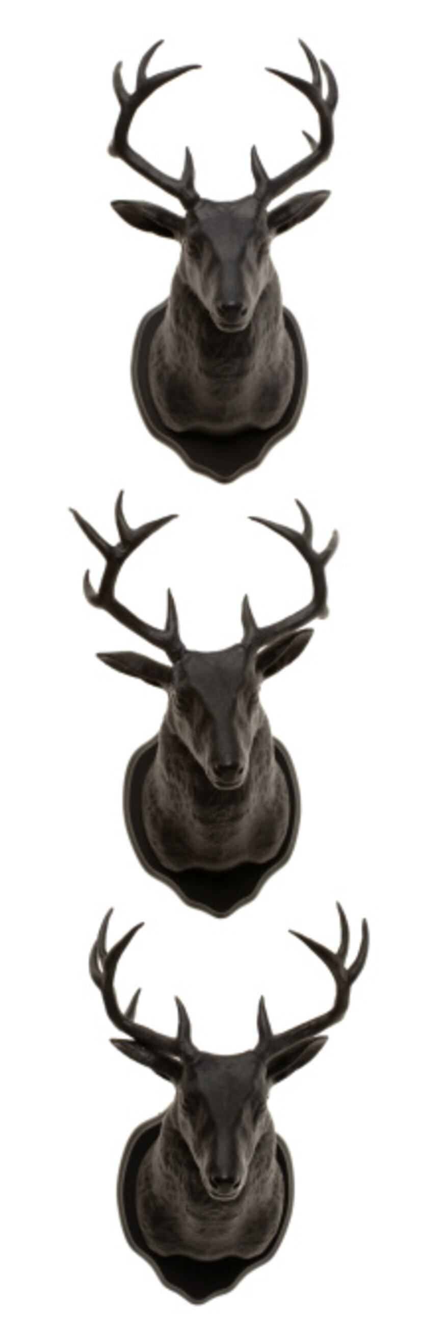 Animal house: Magnetic white-tailed deer taxidermy magnets rakishly hold jewelry or hats....