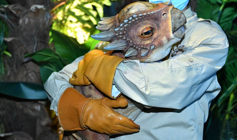 A person holding a baby dinosaur from the "Jurassic World: The Exhibition."