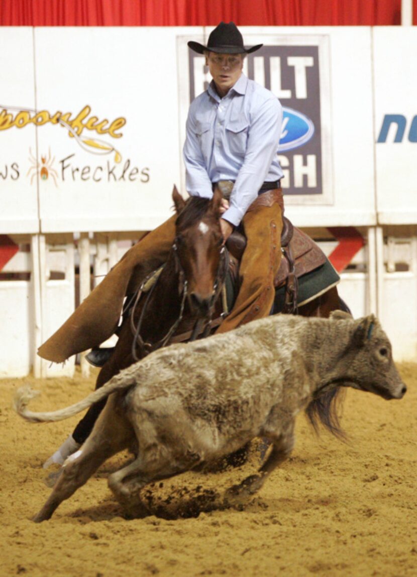 Lt. Gov. David Dewhurst - seen separating a cattle from the herd during National Cutting...