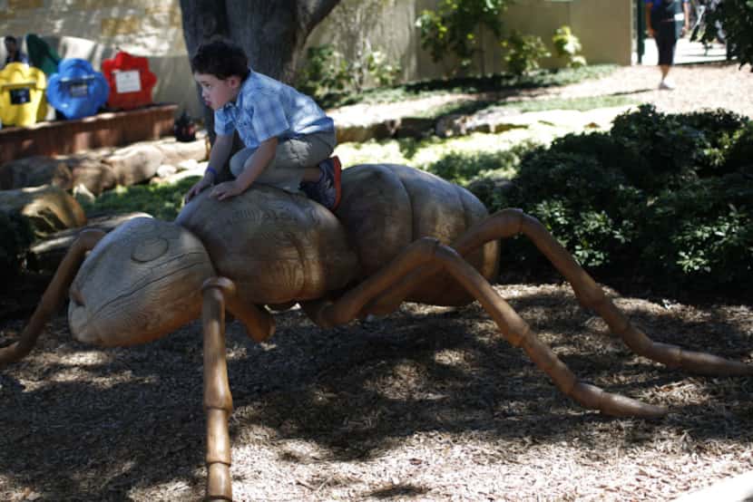 Ben Levy, 6, rode an ant statue during the opening of the Dallas Arboretum Rory Meyers...