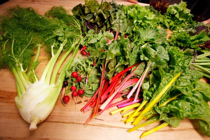 A variety of greens including fennel, baby radishes, rainbow swiss chards, speckle trout...