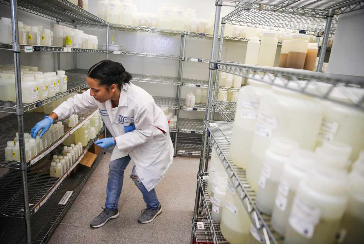 Sample Receiver Technician II Lauren Pham catalogs water samples in a walk-in refrigerator...