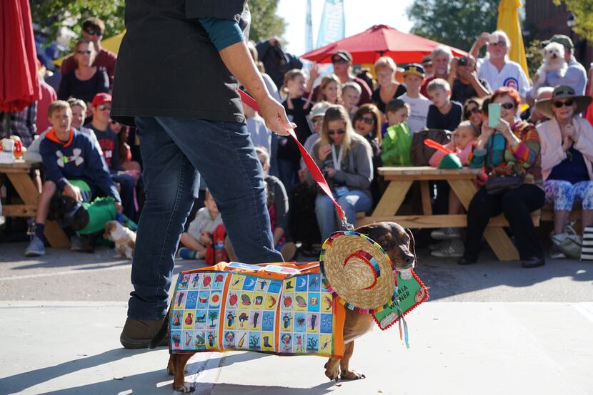 Dress up your dachshund and celebrate Oktoberfest Southlake’s 20th anniversary. Besides a...