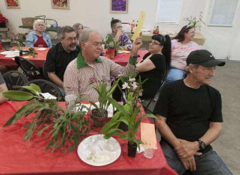 Don Brigham, center, bids on orchids at North Haven Gardens.