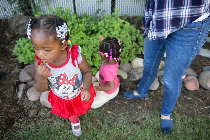 Serayah Ward (left), 2, plays in the therapy garden at Vogel Alcove.