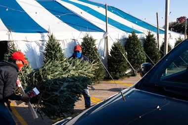 Lot workers load a tree onto a customer’s Jeep at Patton’s Christmas Trees at Lakewood...