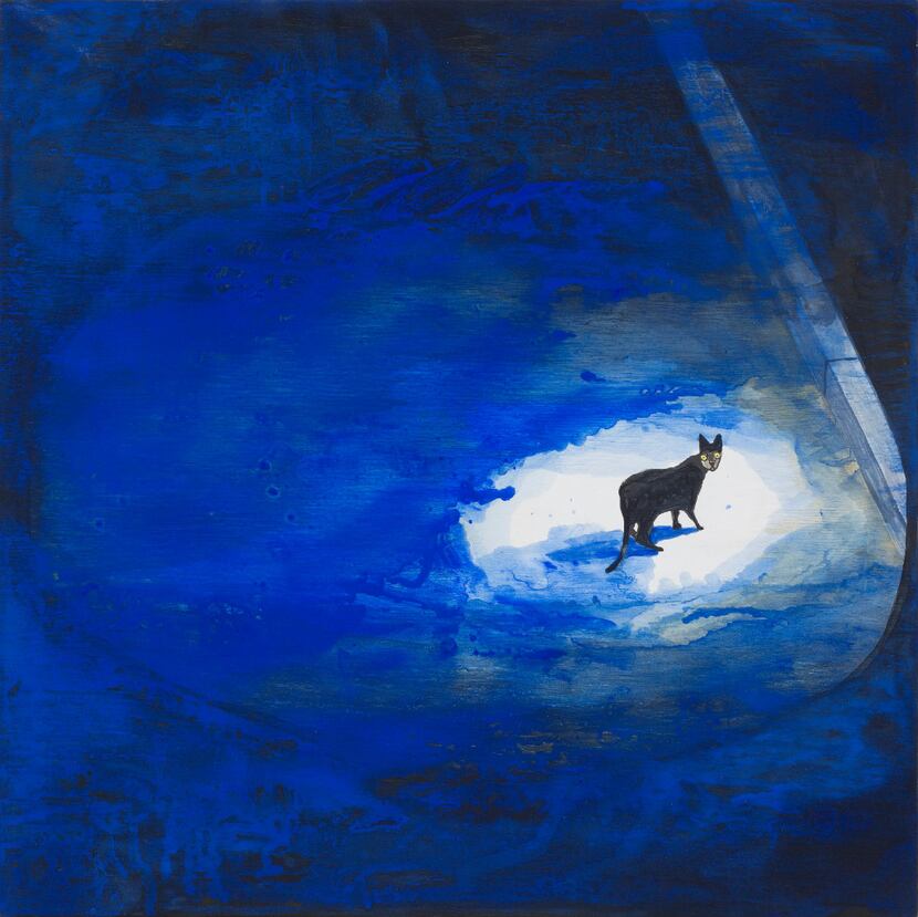 Noel McKenna. Cat on street, night. Courtesy the artist and Mother's Tankstation Limited.
