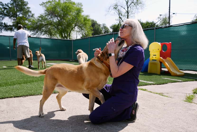 Tammy Godfrey, owner of PawTenders, was greeted by a dog named Bella as she visited with her...