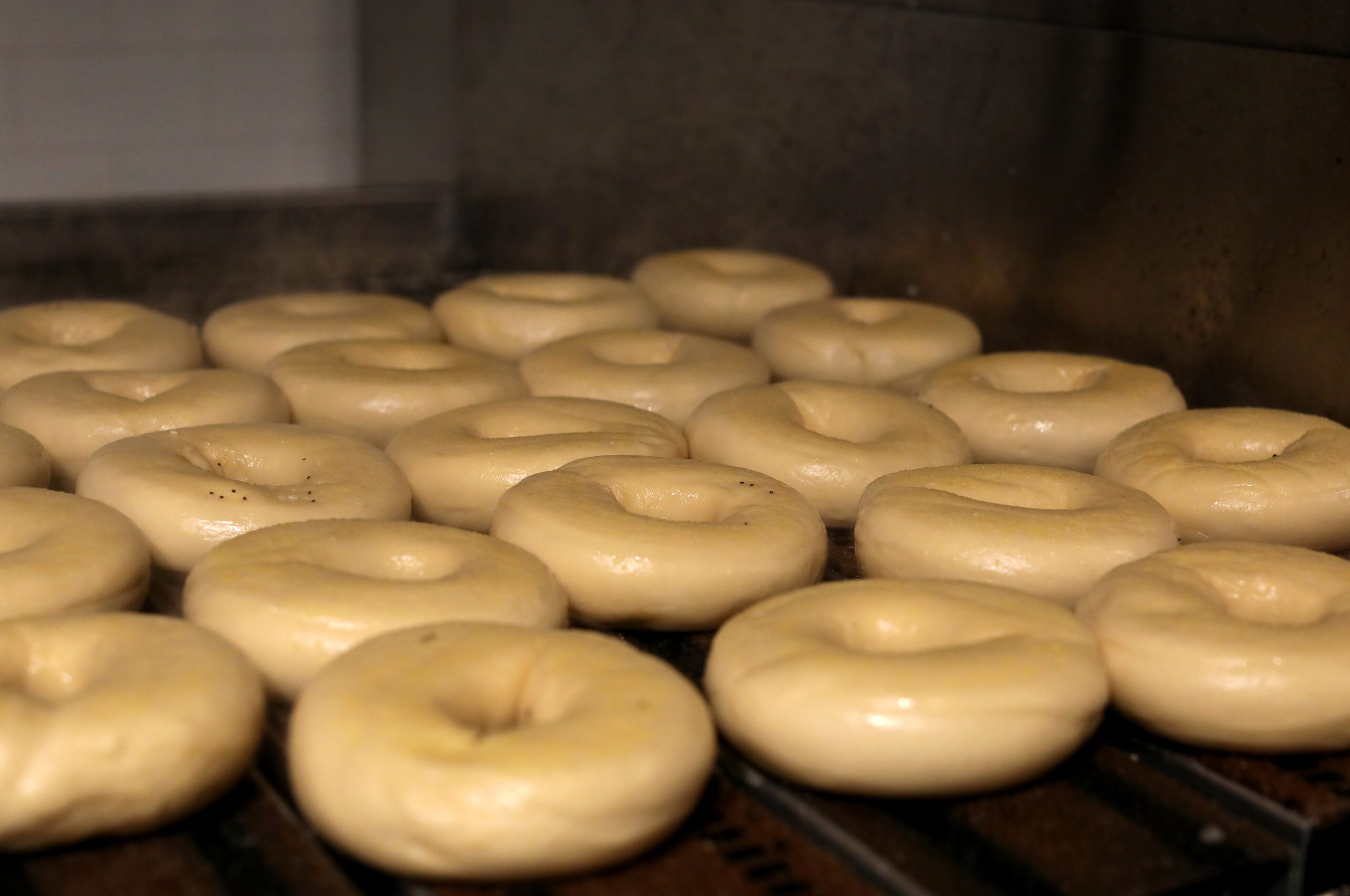 Moisture steams off bagels as they cook at Shug's Bagels in Dallas, TX, on Nov 2, 2023. ...