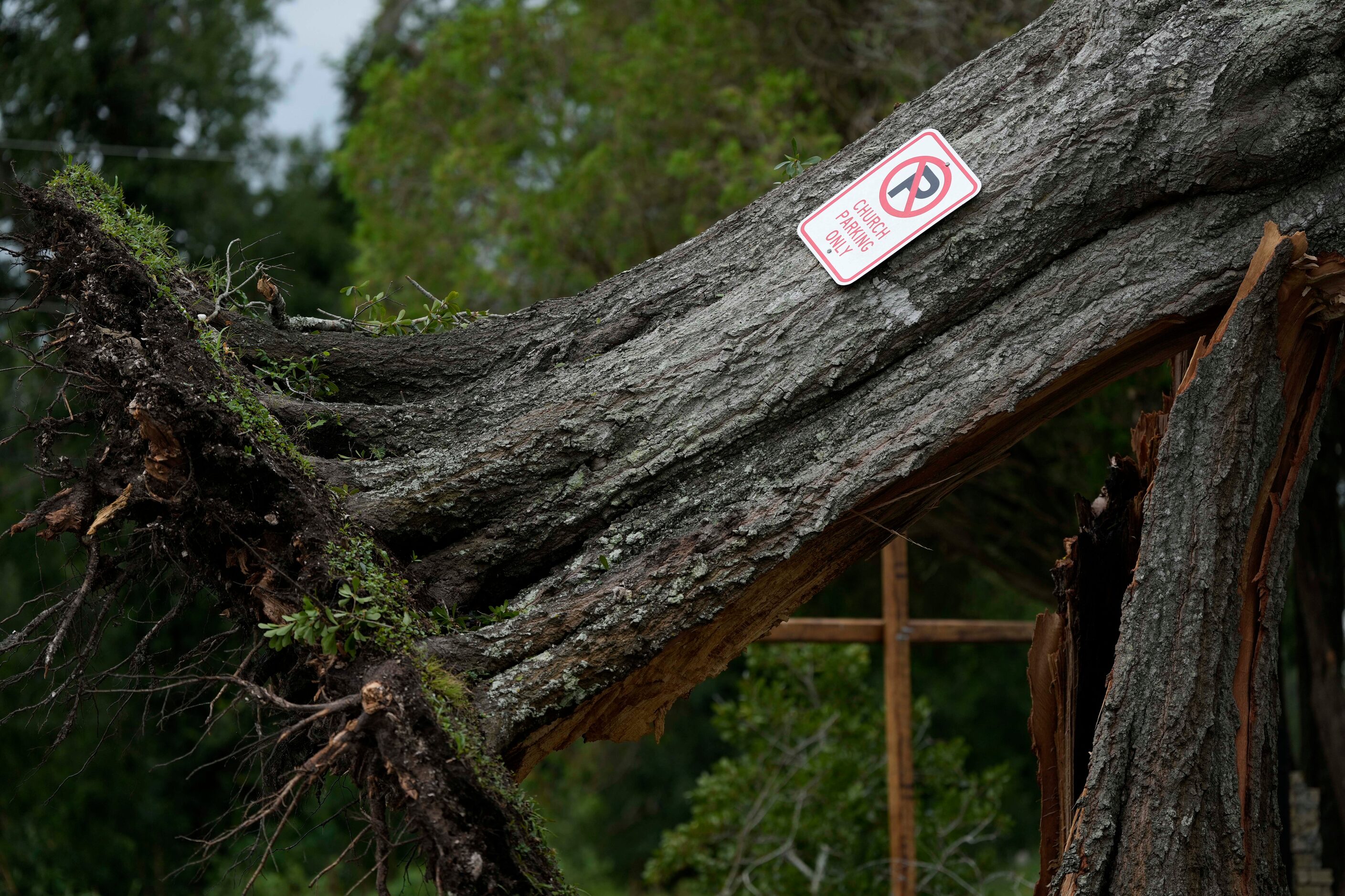 An upended tree rests on Bethel Church after Hurricane Beryl moved through the area, Monday,...