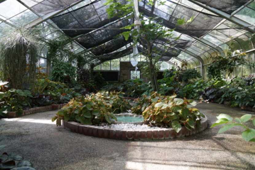 El Jardín Botánico pasará a costar $12 una vez que lo apruebe el Concejo de Fort Worth. DMN
