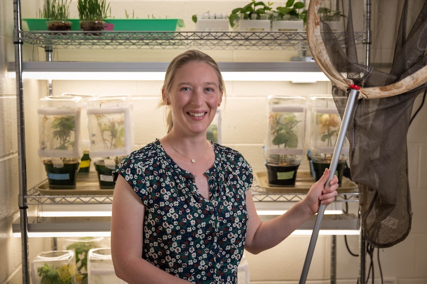 Dr. Alison Ravenscraft standing proudly holding a bug catching net