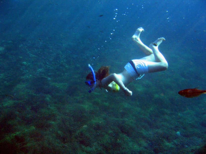 A snorkeler enjoys Balmorhea State Park in West Texas. The pool at the park is fed by San...