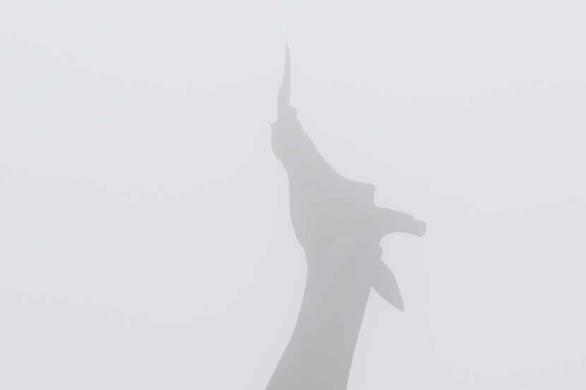 The Dallas Zoo giraffe standing on a foggy morning