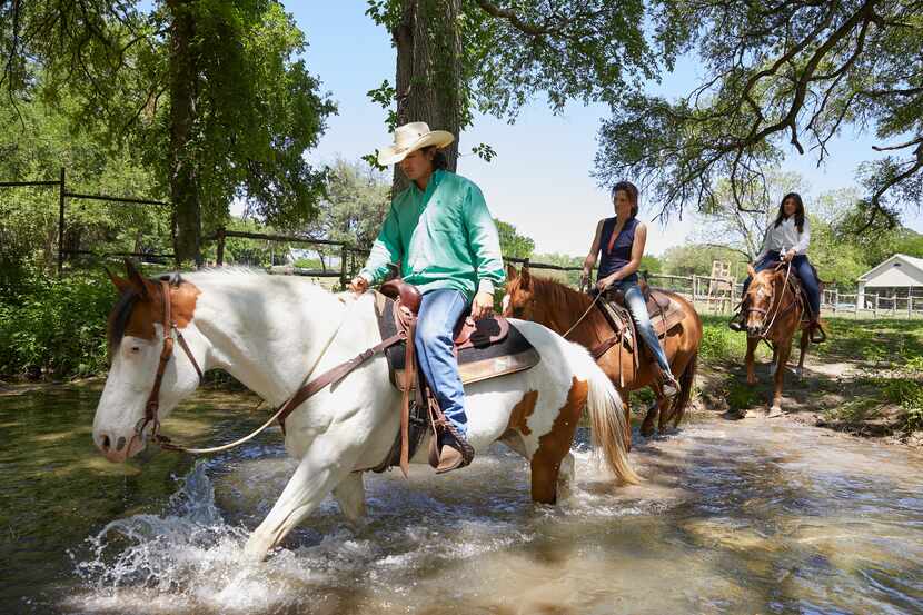 Therapeutic trail riding is one of the experiences offered at Miraval Austin.