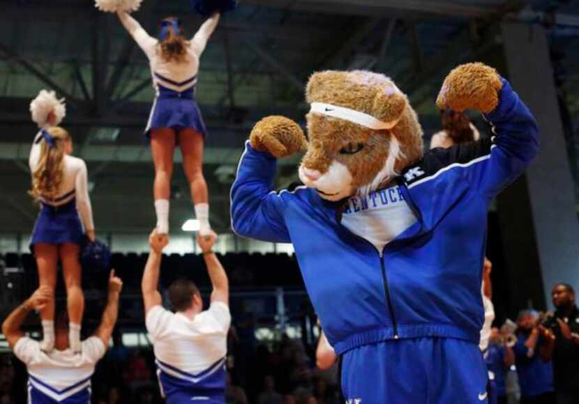 
The Wildcat, mascot for the University of Kentucky, is played by Paul Sutton, who makes...