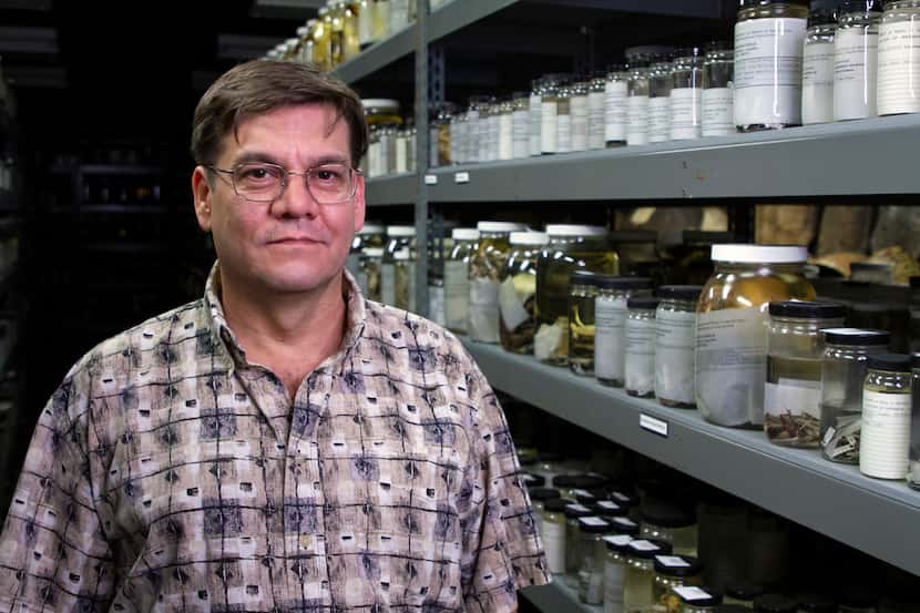Eric Smith of the University of Texas at Arlington has been studying tiny frogs for decades.