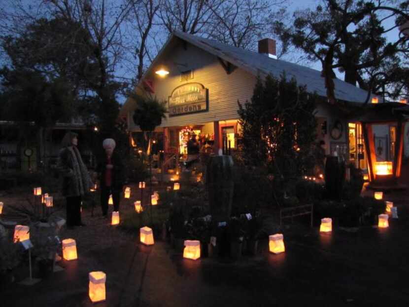
Blue Moon Gardens in Chandler will be open at night Saturday for the annual holiday event...
