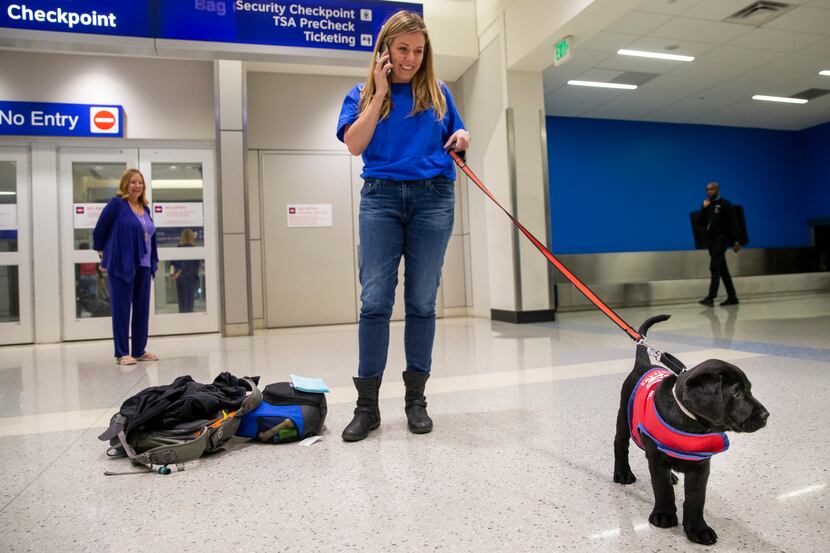 Caroline Clayton, an American Airlines employee, arrived with 8-week-old Pine at DFW...
