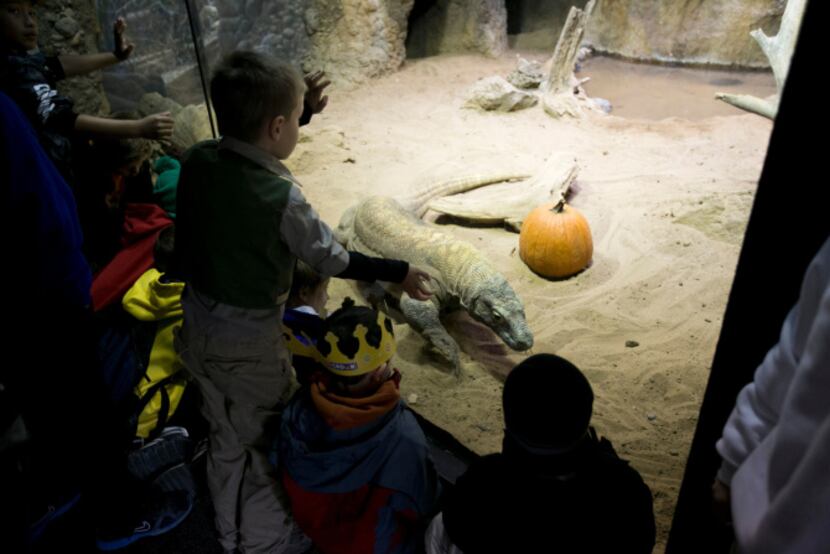 Kids can join a costume parade, see the animals and visit the pumpkin patch at Fort Worth's...