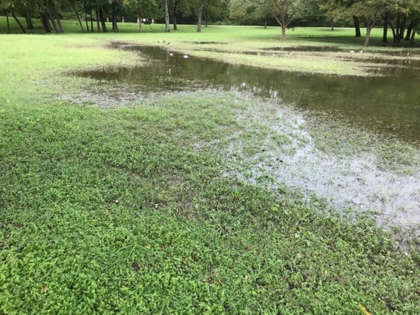 Heavy rains can saturate soil, and you should avoid tilling or working the soil while it's...