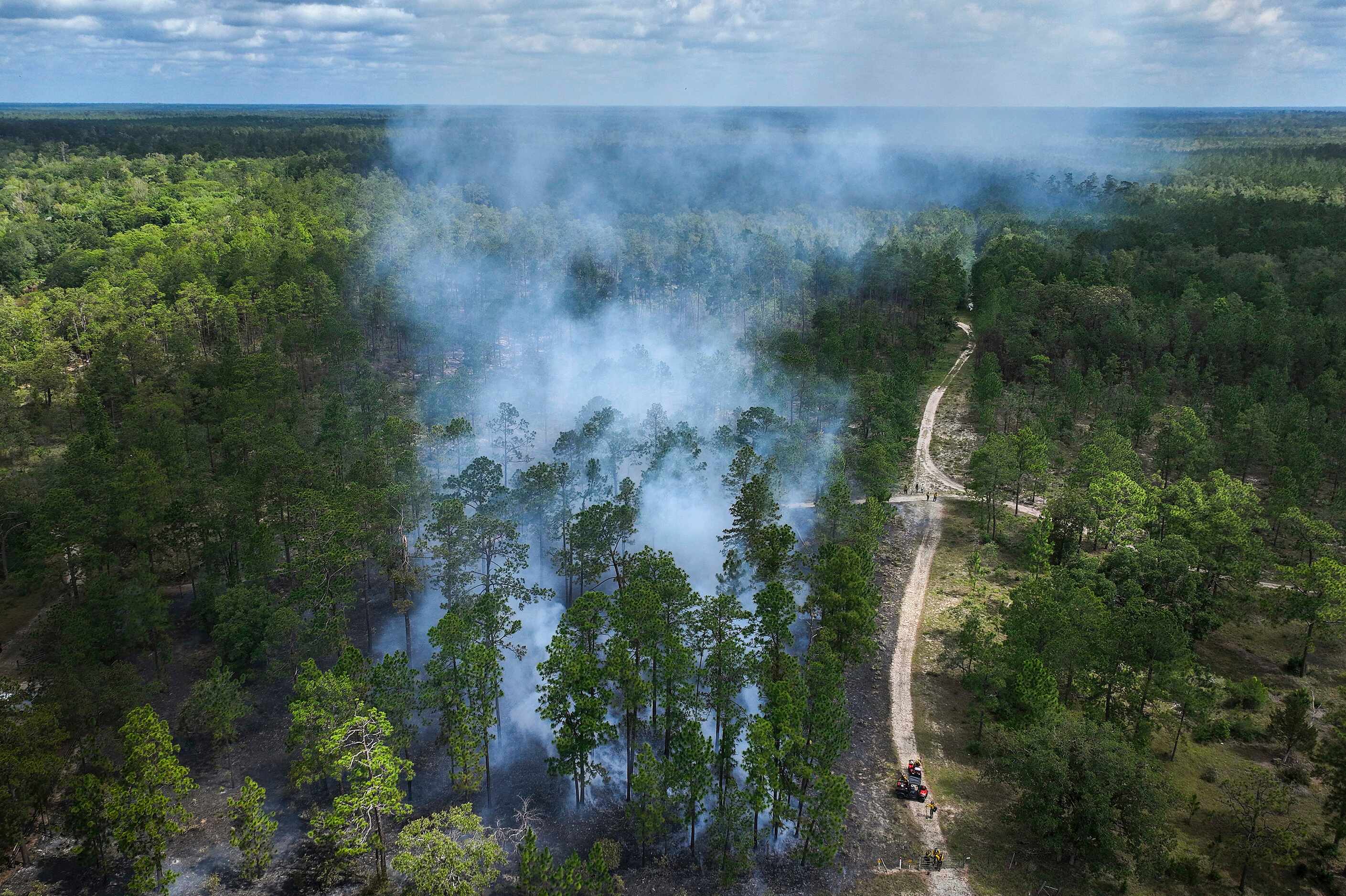 Smoke rises from a prescribed burn at the Roy E. Larsen Sandyland Sanctuary on Tuesday, June...