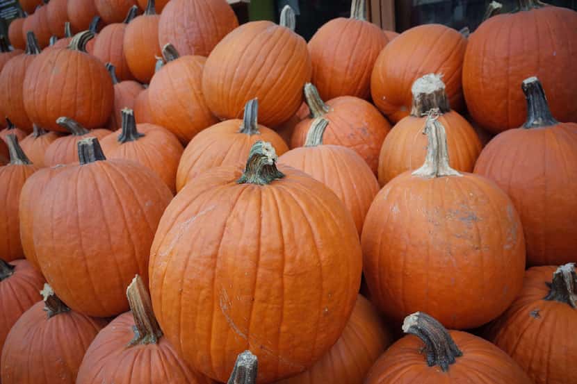 Grapevine Mills mall wants 1,500 pumpkin carvers to participate in an event to break the...